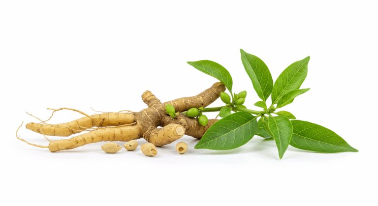HealthBenefitsofAshwagandha