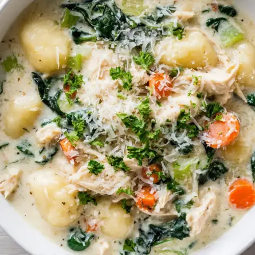 Slow Cooker Chicken Gnocchi Soup Recipe